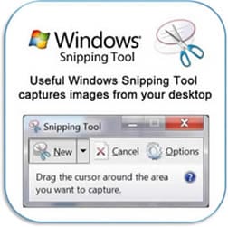 Graphics & Artwork | California American Legion