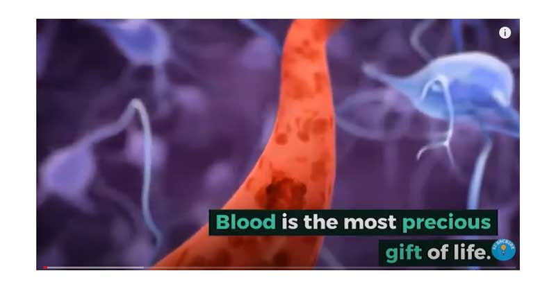 blood is the most precious gift of life