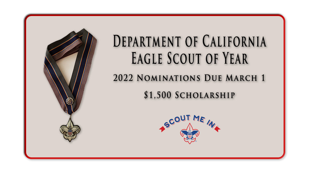 Eagle Scout of the Year submissions