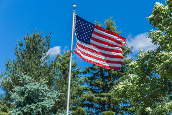 an American flag blows in the wind with green foliage behind it