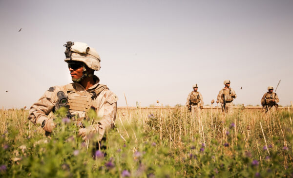 Four U.S. Marines patrol a poppy field somewhere in Helmand province, Afghanistan 