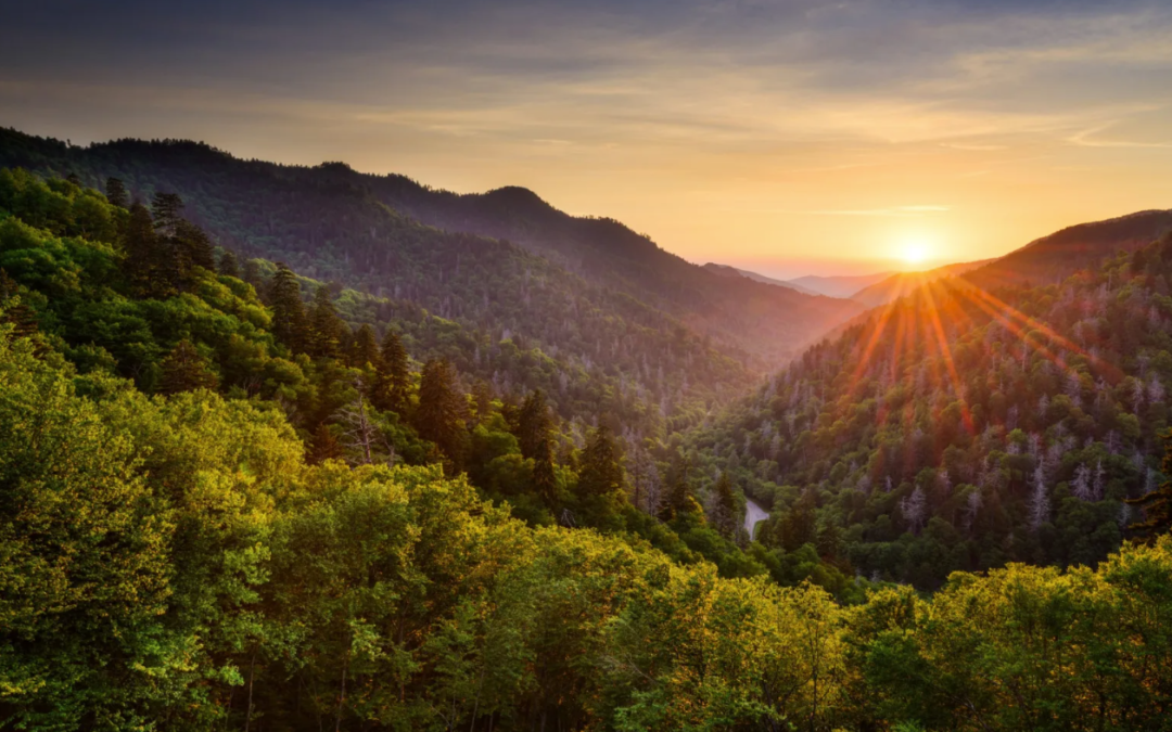 VIDEO: Free Lifetime Pass to All National Parks