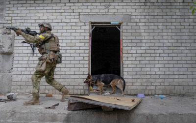 Ukraine, Israel, Yemen…American Veterans Are Increasingly Serving in Overseas Conflicts