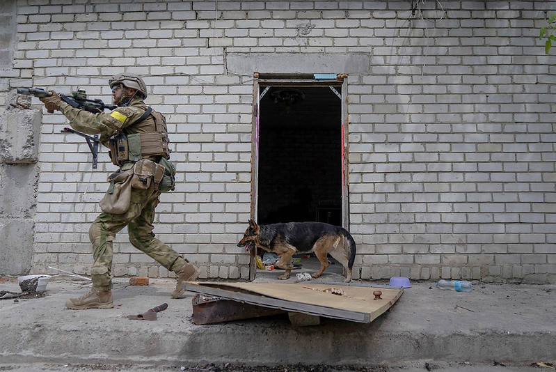 Ukraine, Israel, Yemen…American Veterans Are Increasingly Serving in Overseas Conflicts