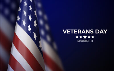 Call for Entries: 2024 VA Veterans Day Poster Contest