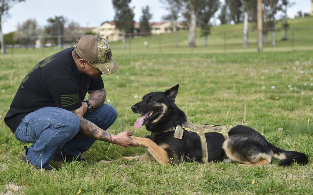 NIH-Funded Study Notes Veterans and Service Members with Service Dogs May Experience Fewer Symptoms of PTSD