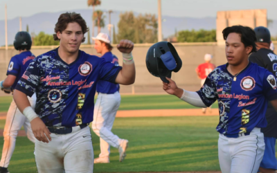 Fairfield Expos Start State Baseball Championship Strong with 11-1 Win Despite Injury