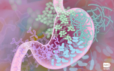 UC Irvine Study Links Gut Microbiome Imbalances to Gulf War Illness